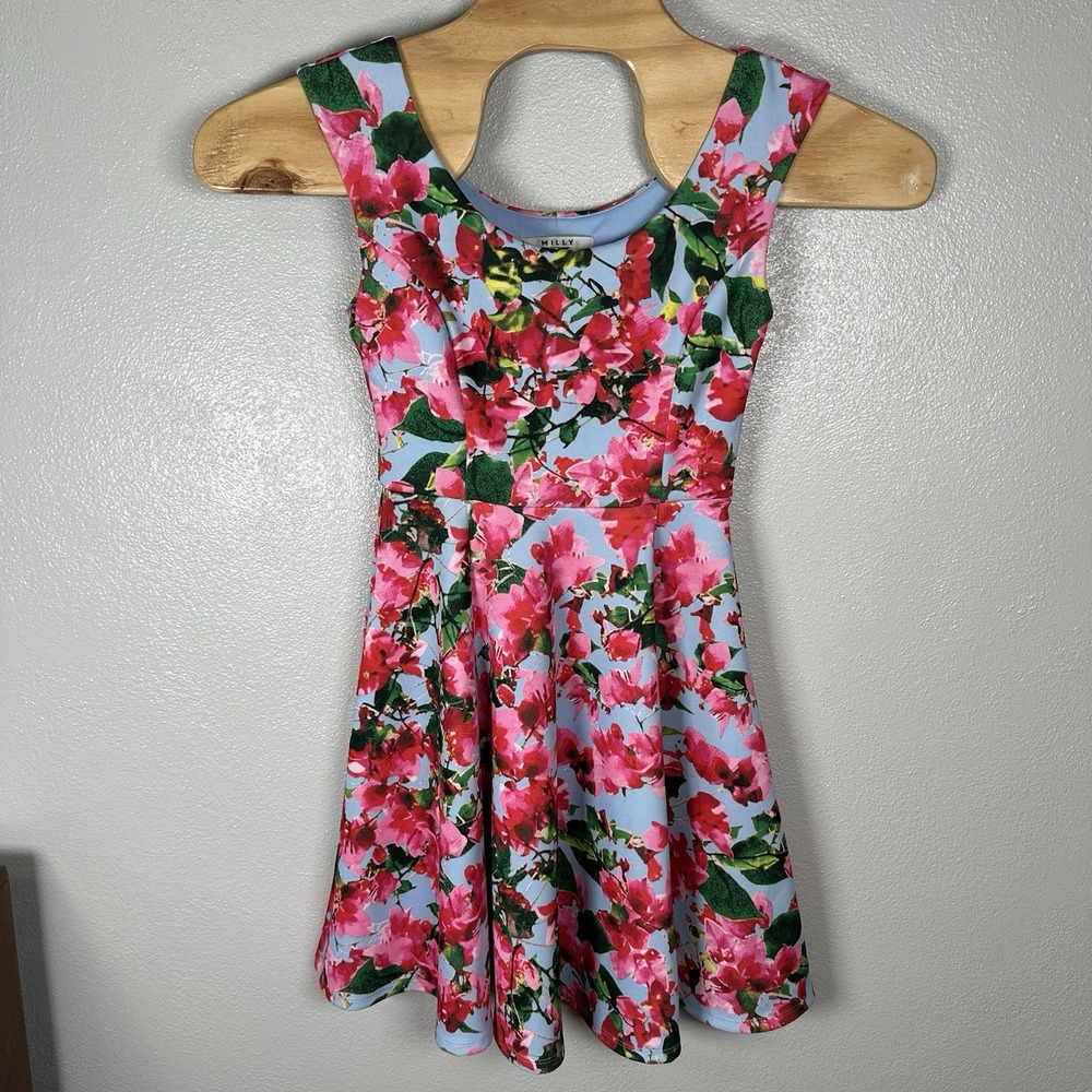 Milly Dress Size 2 Blue Pink Floral Skater Mini Fit & Flare Spring Summer